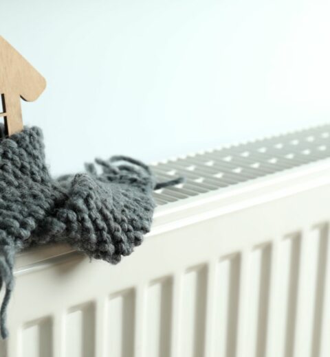 Décembre – « Vendeur en magasin : L’acteur clé des achats de Noël »