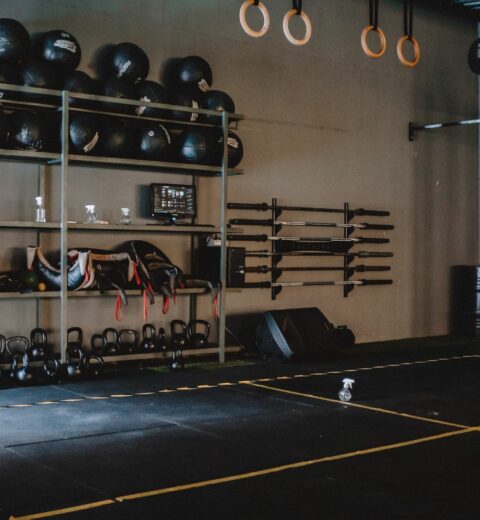 Quels sont les métiers dans une ferme agricole ? Du saisonnier à l’ingénieur agronome