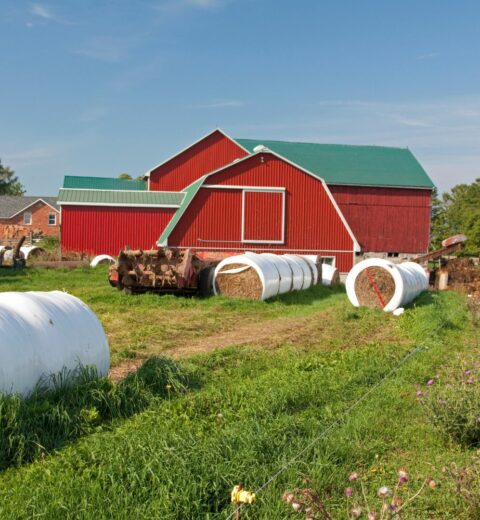 Quels sont les métiers dans une salle de sport ? Du coach sportif au gestionnaire de centre