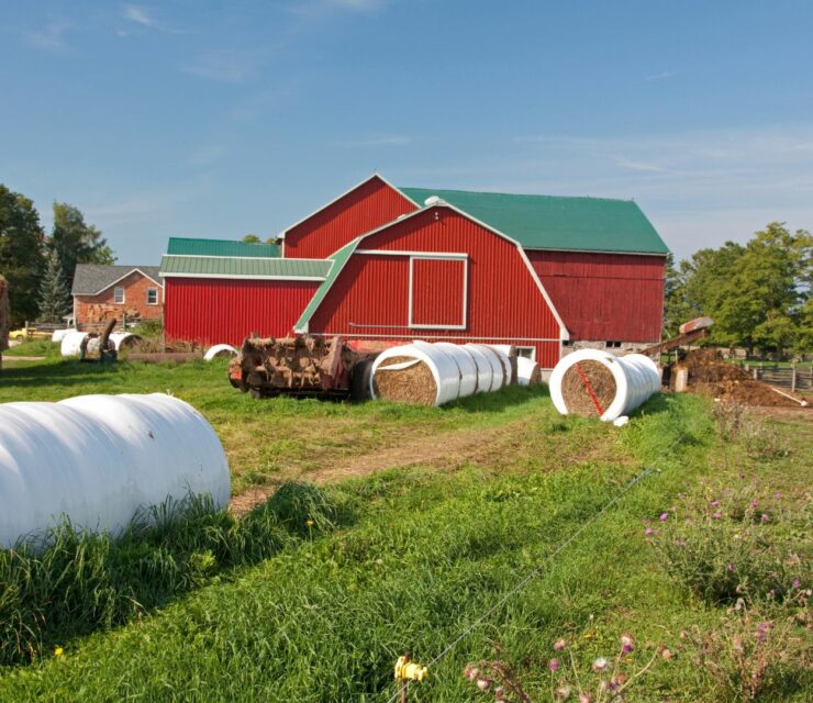 Quels sont les métiers dans une ferme agricole ? Du saisonnier à l’ingénieur agronome